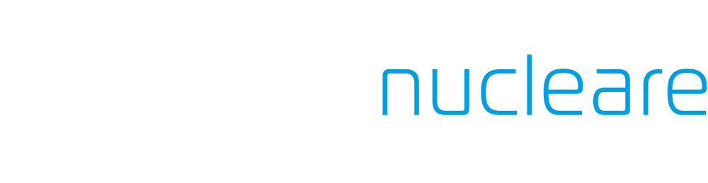 ansaldonucleare-negativo-1
