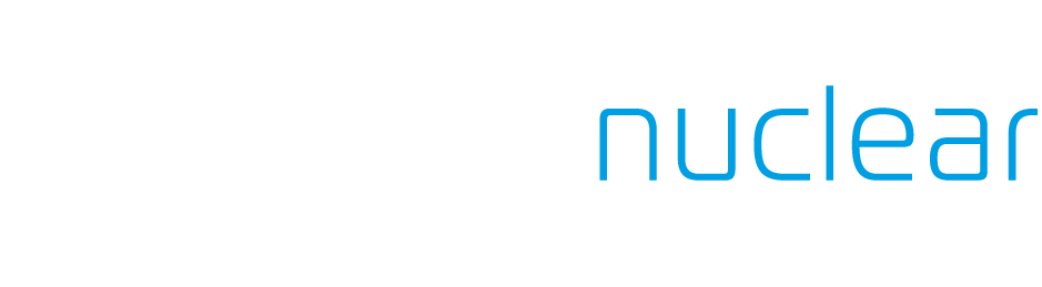 ansaldonuclear-negativ-1